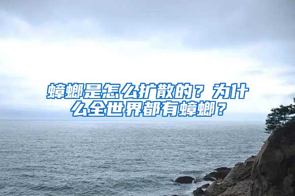 蟑螂是怎么擴散的？為什么全世界都有蟑螂？