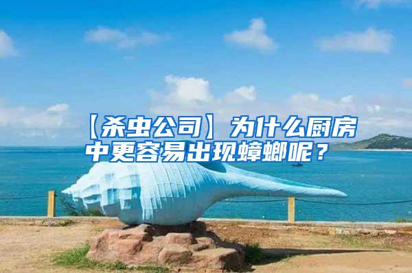 【殺蟲公司】為什么廚房中更容易出現蟑螂呢？