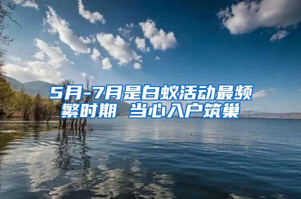 5月-7月是白蟻活動最頻繁時期 當心入戶筑巢