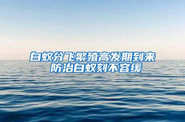 白蟻分飛繁殖高發期到來 防治白蟻刻不容緩