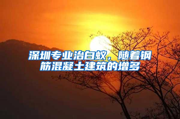 深圳專業治白蟻，隨著鋼筋混凝土建筑的增多