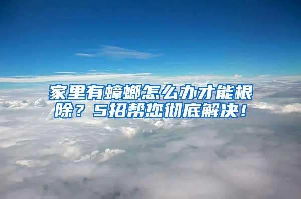 家里有蟑螂怎么辦才能根除？5招幫您徹底解決！