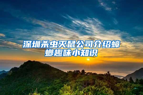 深圳殺蟲滅鼠公司介紹蟑螂趣味小知識