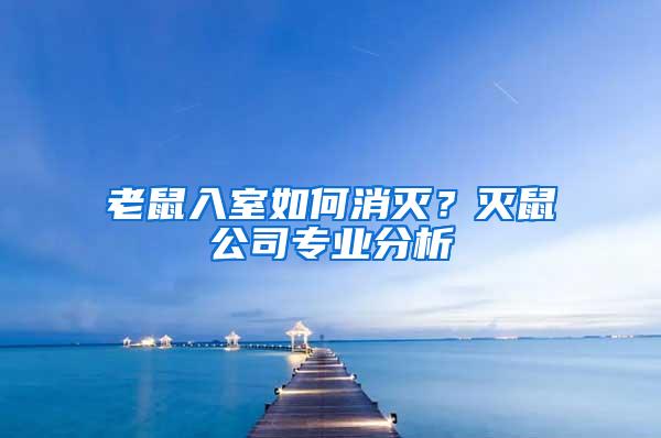 老鼠入室如何消滅？滅鼠公司專業分析