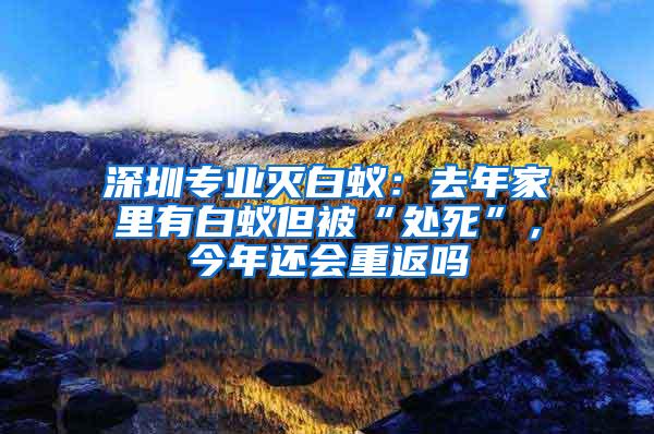 深圳專業滅白蟻：去年家里有白蟻但被“處死”，今年還會重返嗎