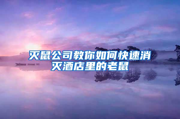 滅鼠公司教你如何快速消滅酒店里的老鼠