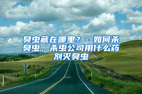 臭蟲藏在哪里？--如何殺臭蟲，殺蟲公司用什么藥劑滅臭蟲