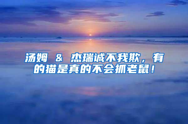 湯姆 & 杰瑞誠(chéng)不我欺，有的貓是真的不會(huì)抓老鼠！