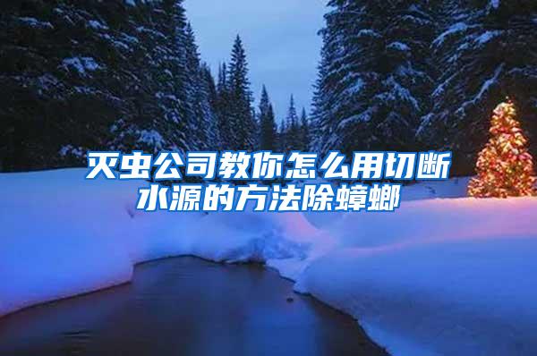 滅蟲公司教你怎么用切斷水源的方法除蟑螂