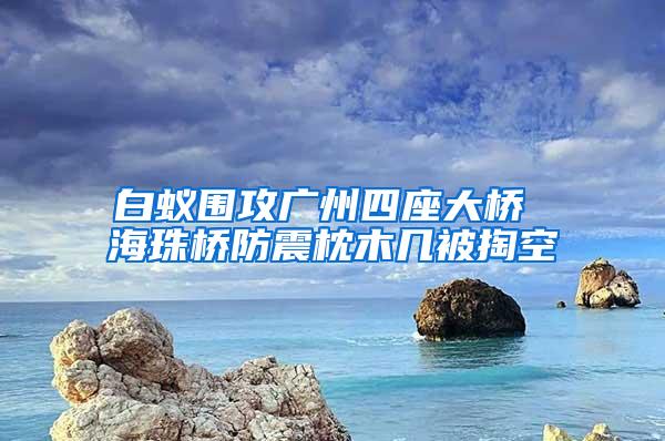 白蟻圍攻廣州四座大橋 海珠橋防震枕木幾被掏空