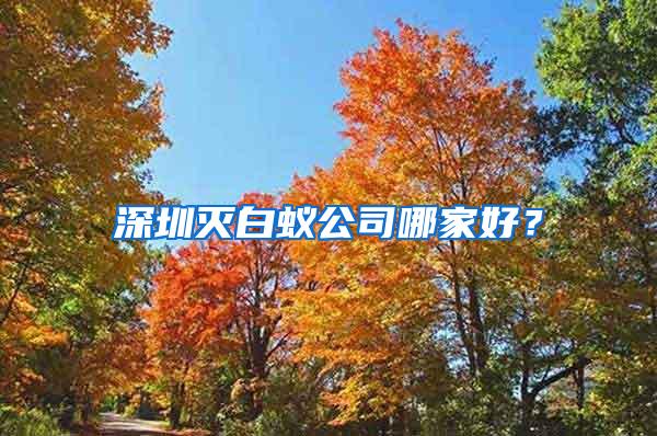 深圳滅白蟻公司哪家好？