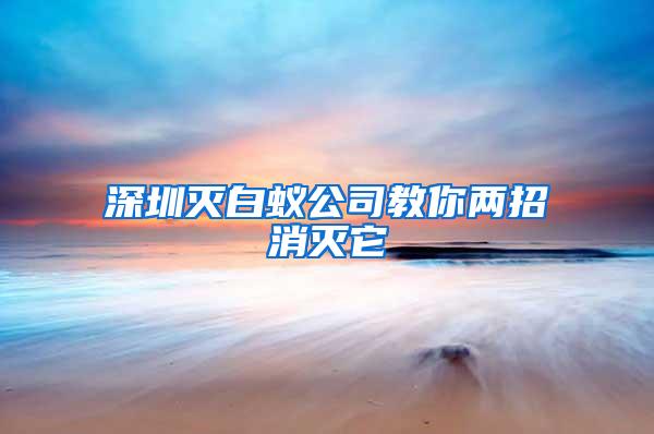 深圳滅白蟻公司教你兩招消滅它