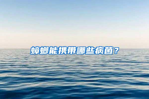 蟑螂能攜帶哪些病菌？