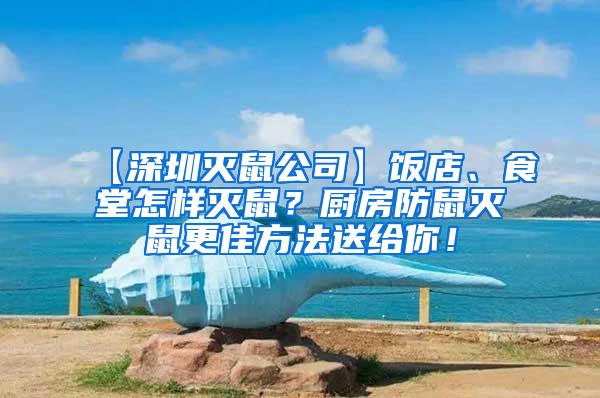 【深圳滅鼠公司】飯店、食堂怎樣滅鼠？廚房防鼠滅鼠更佳方法送給你！