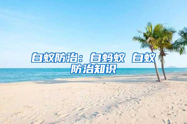 白蟻防治：白螞蟻 白蟻防治知識