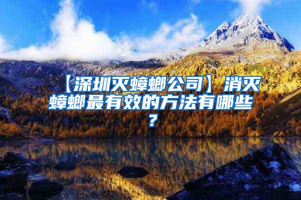 【深圳滅蟑螂公司】消滅蟑螂最有效的方法有哪些？