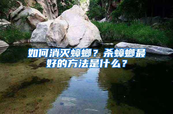 如何消滅蟑螂？殺蟑螂最好的方法是什么？