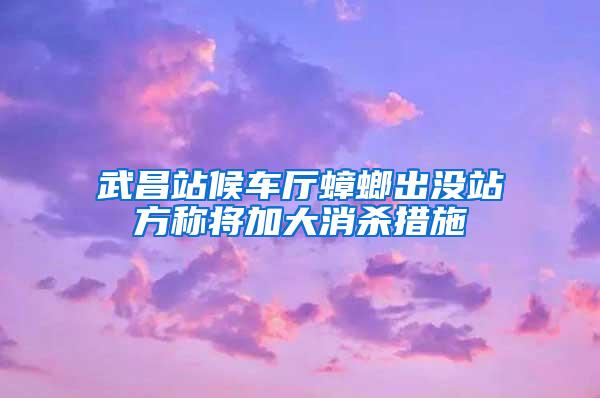 武昌站候車廳蟑螂出沒站方稱將加大消殺措施