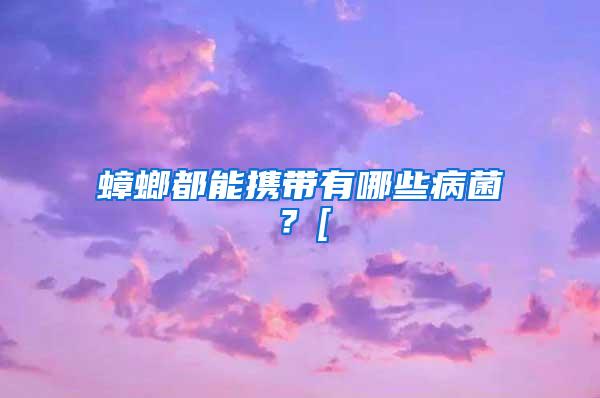 蟑螂都能攜帶有哪些病菌？[