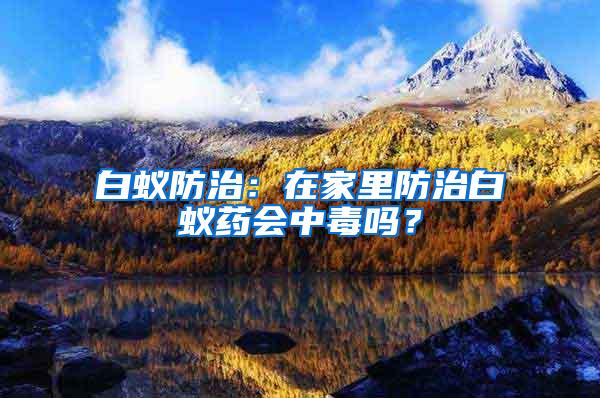 白蟻防治：在家里防治白蟻藥會中毒嗎？