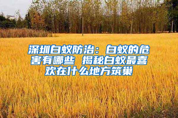 深圳白蟻防治：白蟻的危害有哪些 揭秘白蟻最喜歡在什么地方筑巢