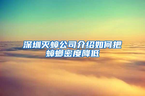 深圳滅蟑公司介紹如何把蟑螂密度降低