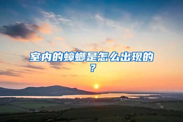 室內的蟑螂是怎么出現的？