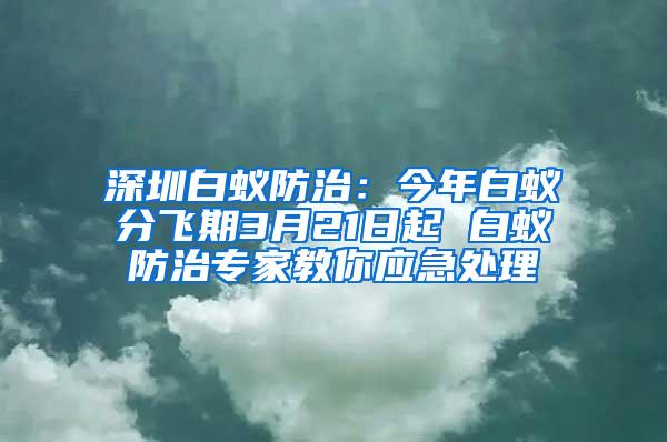 深圳白蟻防治：今年白蟻分飛期3月21日起 白蟻防治專家教你應急處理