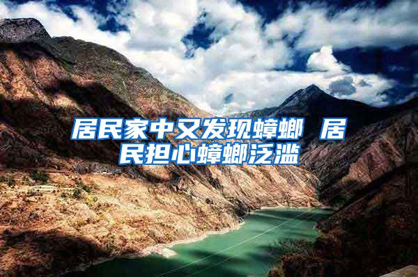 居民家中又發現蟑螂 居民擔心蟑螂泛濫