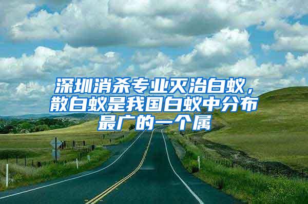 深圳消殺專業滅治白蟻，散白蟻是我國白蟻中分布最廣的一個屬