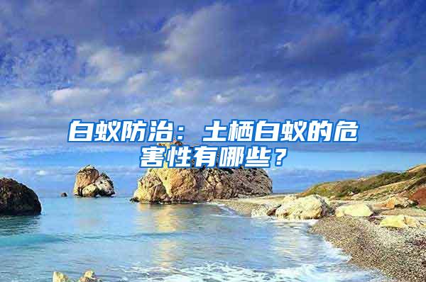 白蟻防治：土棲白蟻的危害性有哪些？