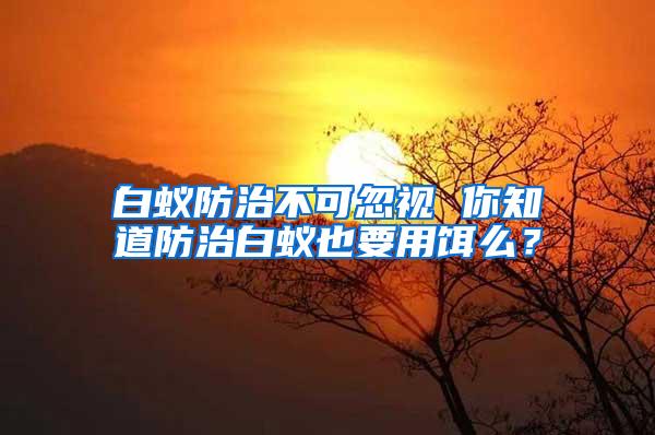 白蟻防治不可忽視 你知道防治白蟻也要用餌么？