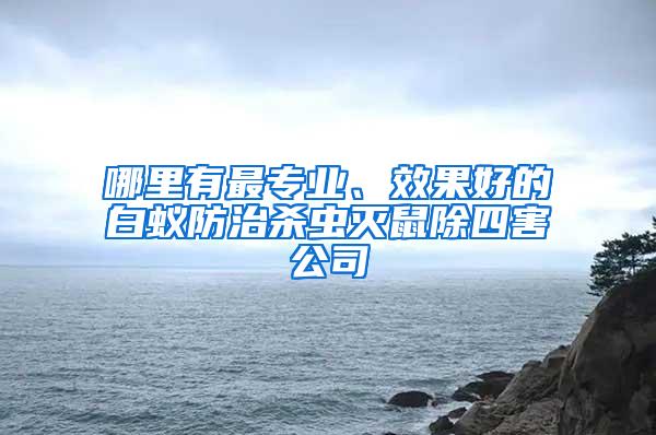 哪里有最專業(yè)、效果好的白蟻防治殺蟲滅鼠除四害公司