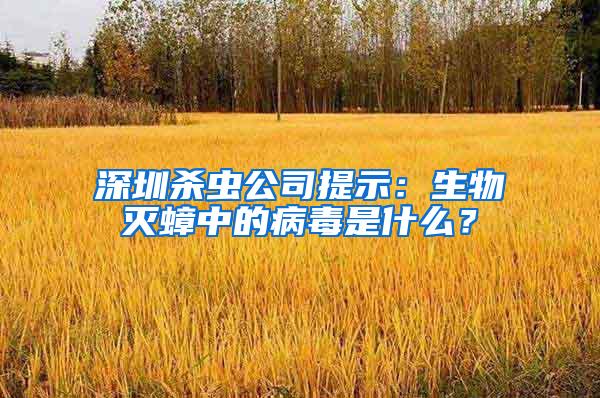 深圳殺蟲公司提示：生物滅蟑中的病毒是什么？