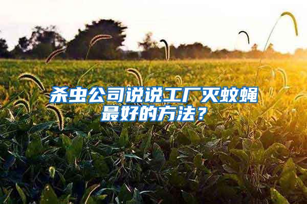 殺蟲公司說說工廠滅蚊蠅最好的方法？