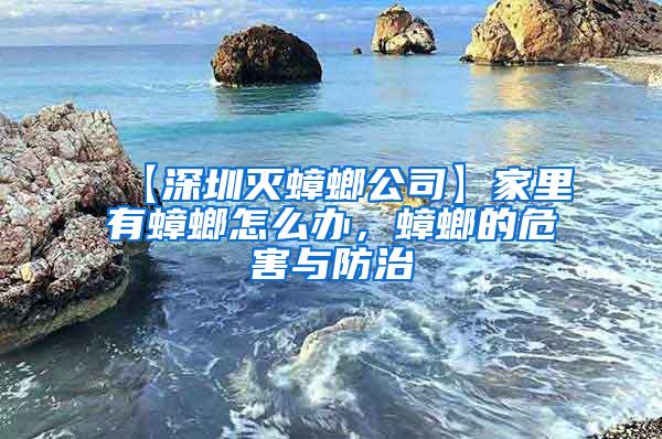 【深圳滅蟑螂公司】家里有蟑螂怎么辦，蟑螂的危害與防治