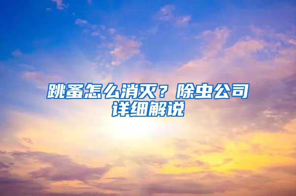 跳蚤怎么消滅？除蟲公司詳細解說