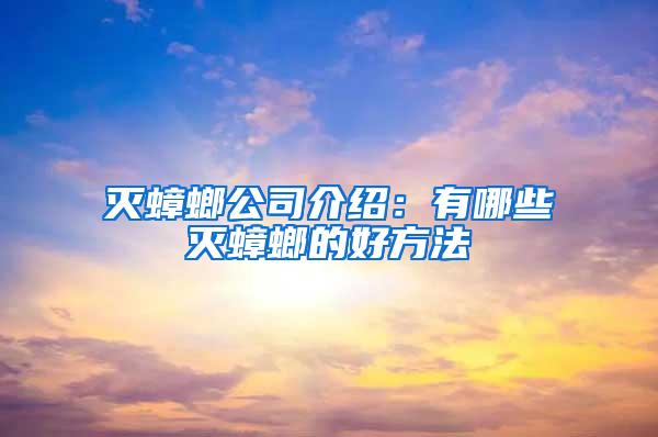 滅蟑螂公司介紹：有哪些滅蟑螂的好方法