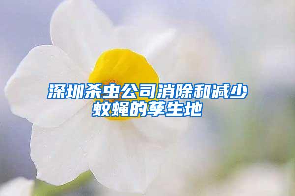 深圳殺蟲公司消除和減少蚊蠅的孳生地