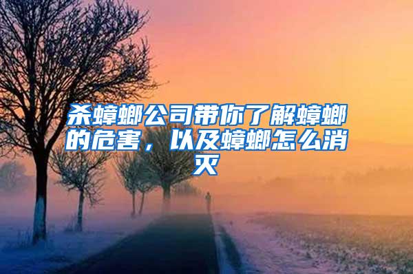 殺蟑螂公司帶你了解蟑螂的危害，以及蟑螂怎么消滅