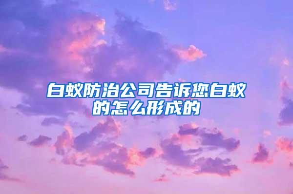 白蟻防治公司告訴您白蟻的怎么形成的