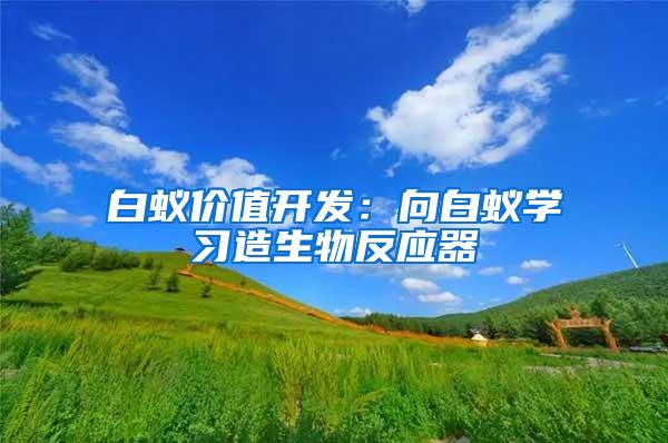 白蟻價值開發：向白蟻學習造生物反應器