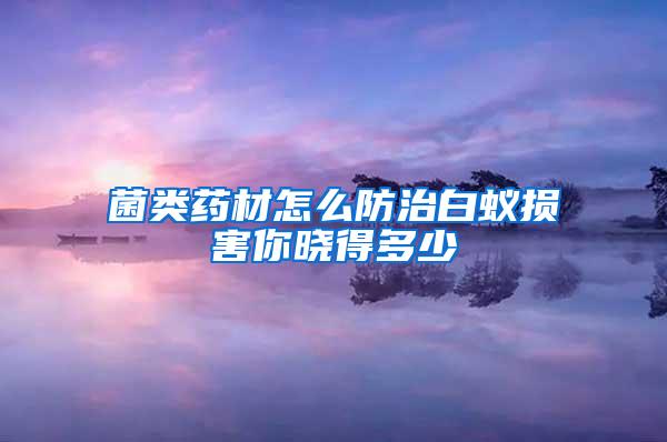 菌類藥材怎么防治白蟻損害你曉得多少