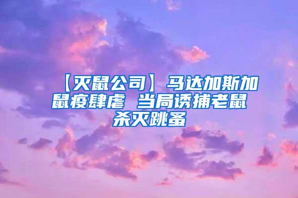 【滅鼠公司】馬達加斯加鼠疫肆虐 當(dāng)局誘捕老鼠殺滅跳蚤