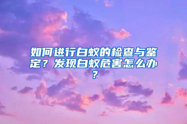 如何進(jìn)行白蟻的檢查與鑒定？發(fā)現(xiàn)白蟻危害怎么辦？