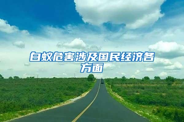 白蟻危害涉及國民經(jīng)濟各方面