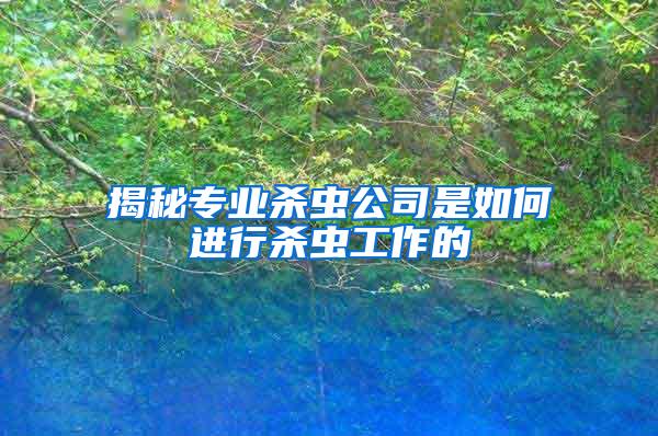 揭秘專業殺蟲公司是如何進行殺蟲工作的