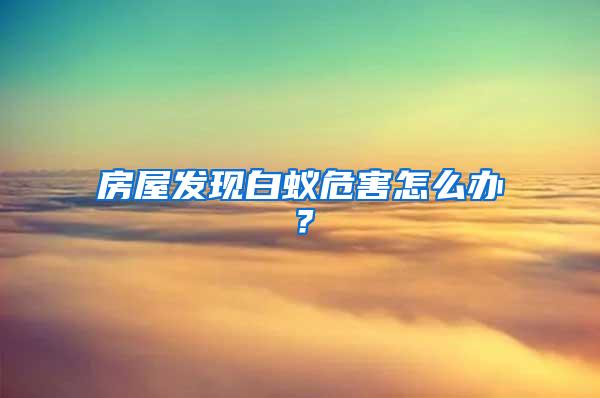 房屋發現白蟻危害怎么辦？