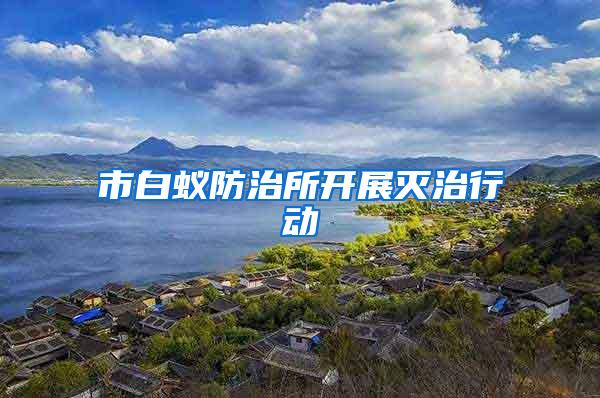 市白蟻防治所開展滅治行動