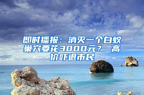 即時(shí)播報(bào)：消滅一個(gè)白蟻巢穴要花3000元？ 高價(jià)嚇退市民